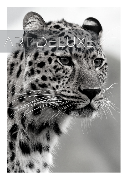 Leopard - Poster