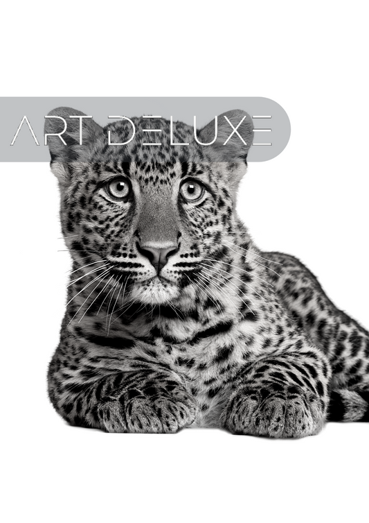 Leopard - Poster