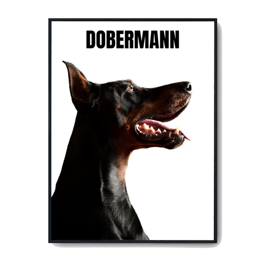 Dobermann - Poster