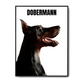 Dobermann - Poster